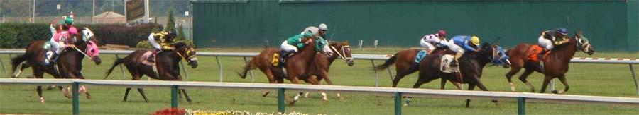 Thoroughbred Racing in Pennsylvania